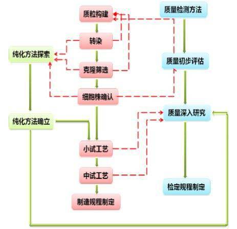 淺談基于CHO系統(tǒng)的蛋白產(chǎn)品研發(fā)流程及其在福建軟件開發(fā)中的協(xié)同應(yīng)用